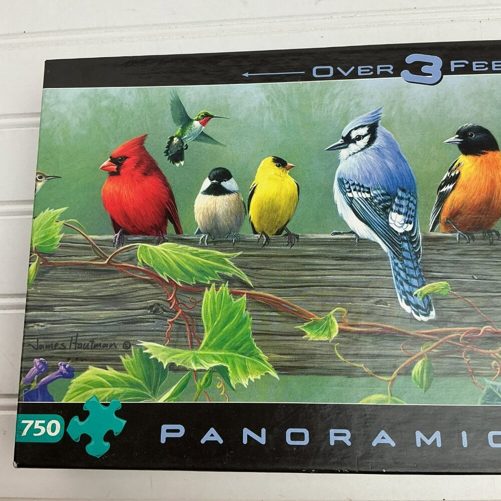 Songbirds Panoramic Puzzle 750 Pieces By Hautman Brothers Buffalo Games 38.25"x1 - Picture 2 of 10